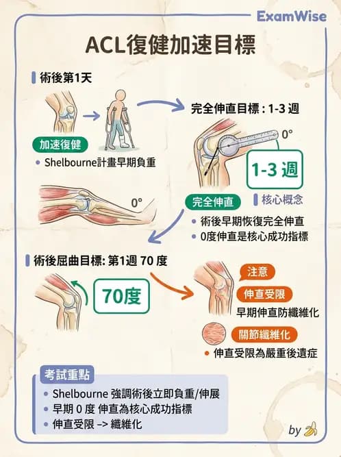 物治 - 膝關節韌帶與半月板損傷 - AI 圖文解析預覽