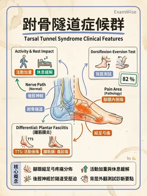 物治 - 足部病變與輔具評估 - AI 圖文解析預覽