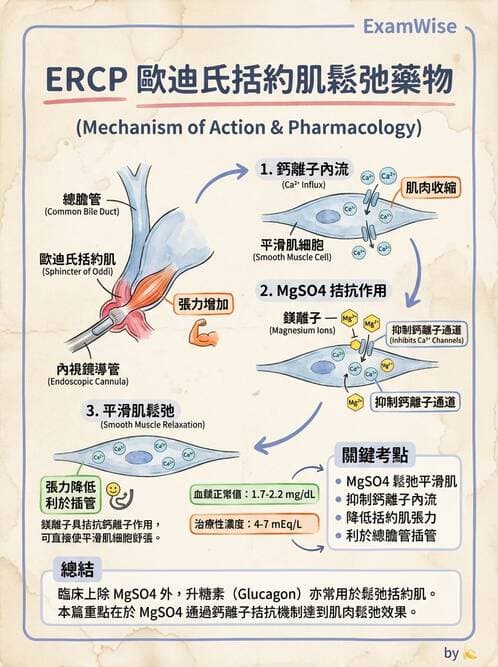 護理師 - 肝膽胰疾病 - AI 圖文解析預覽
