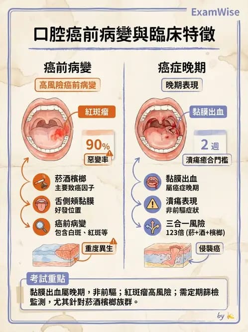 護理師 - 其他常見癌症護理 - AI 圖文解析預覽