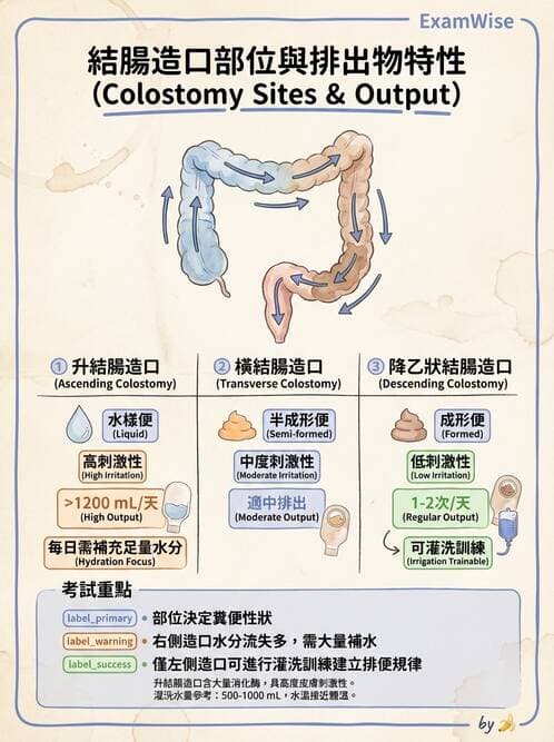 護理師 - 腸道疾病與手術護理 - AI 圖文解析預覽