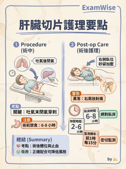 護理師 - 肝膽胰疾病 - AI 圖文解析預覽