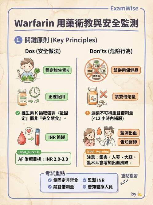 護理師 - 心臟衰竭與心律不整 - AI 圖文解析預覽