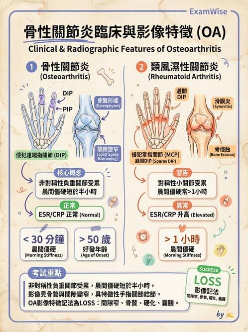 護理師 - 關節疾病與骨科手術 - AI 圖文解析預覽