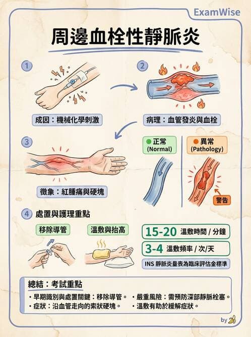 護理師 - 高血壓與周邊血管疾病 - AI 圖文解析預覽