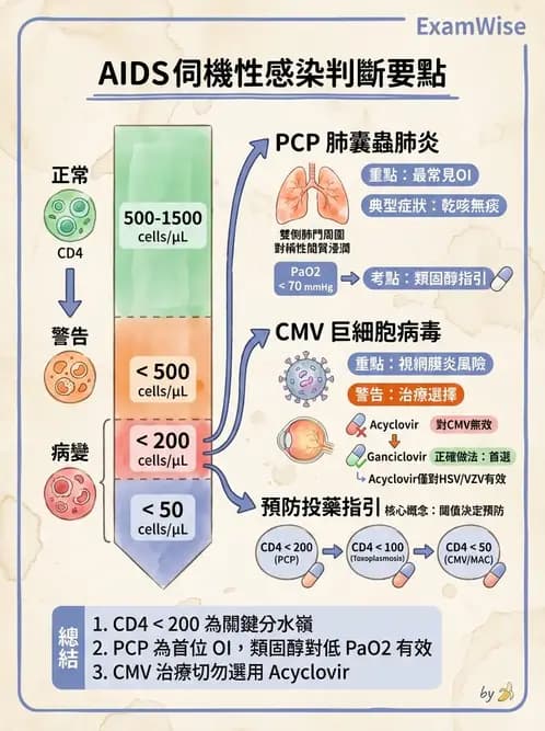 護理師 - 器官移植與AIDS - AI 圖文解析預覽