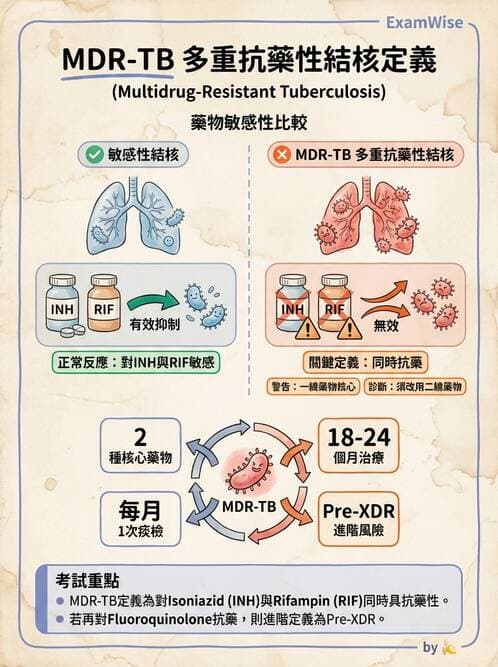 護理師 - 肺炎與呼吸道感染 - AI 圖文解析預覽