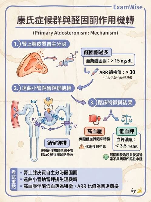 護理師 - 腎上腺與腦下垂體疾病 - AI 圖文解析預覽
