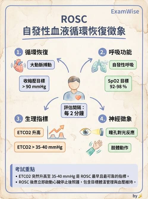 護理師 - CPR、AED與急救技術 - AI 圖文解析預覽