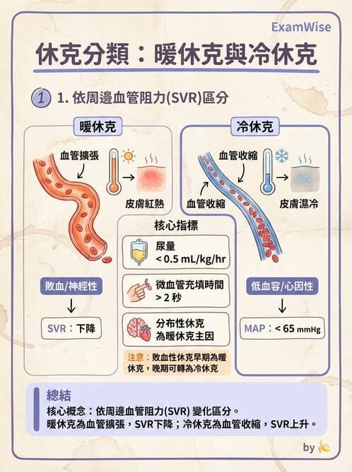 護理師 - 休克與敗血症護理 - AI 圖文解析預覽
