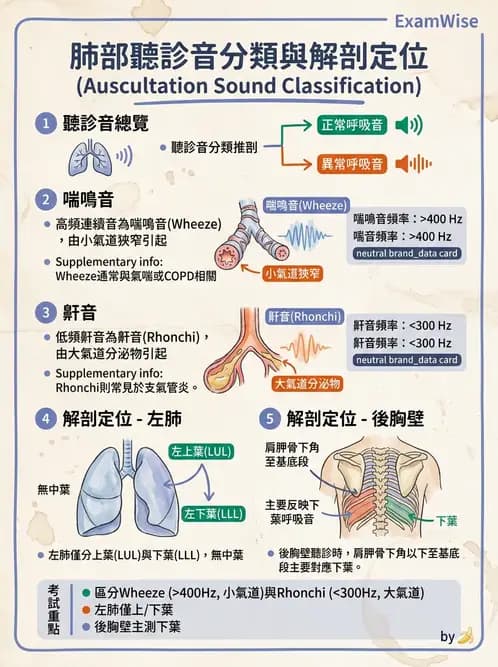 物治 - 呼吸臨床評估技術 - AI 圖文解析預覽