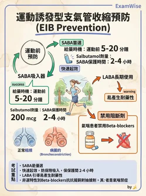 物治 - 阻塞性肺疾病物理治療 - AI 圖文解析預覽