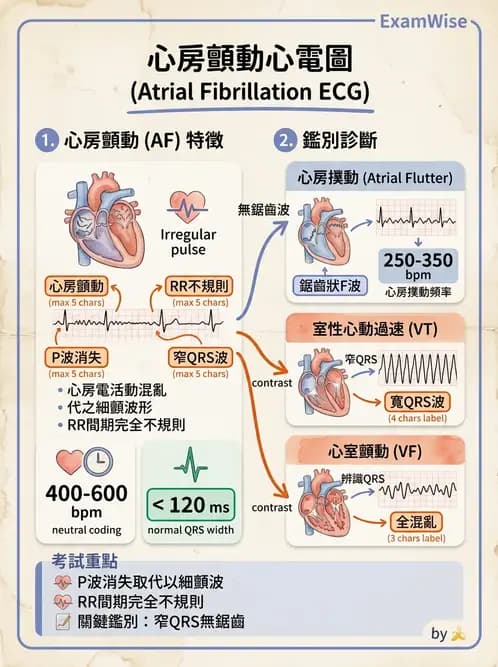物治 - 心電圖判讀 - AI 圖文解析預覽