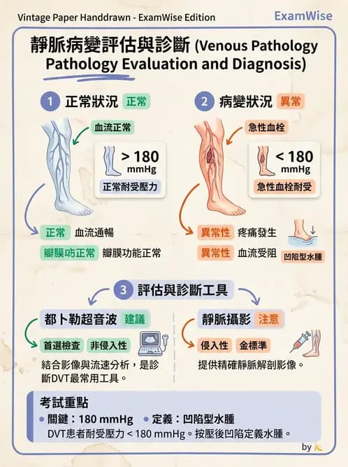 物治 - 心臟藥物、輔助裝置與周邊血管 - AI 圖文解析預覽