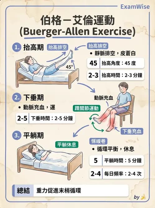 物治 - 心臟藥物、輔助裝置與周邊血管 - AI 圖文解析預覽