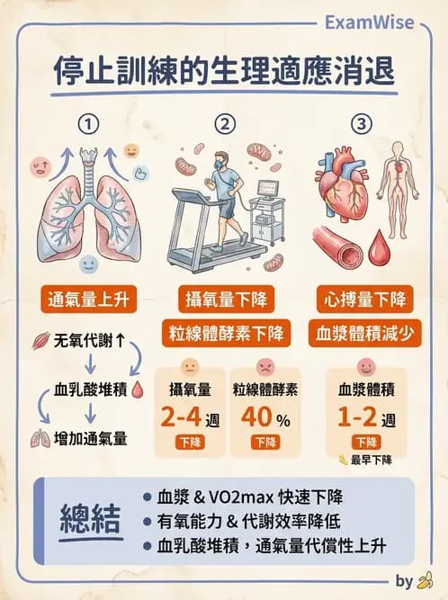 物治 - 運動生理學與能量代謝 - AI 圖文解析預覽