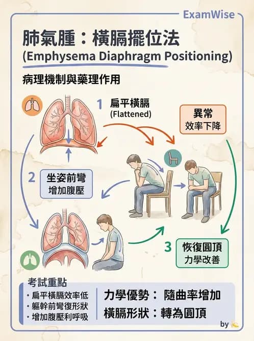 物治 - 氣道廓清與呼吸訓練技術 - AI 圖文解析預覽
