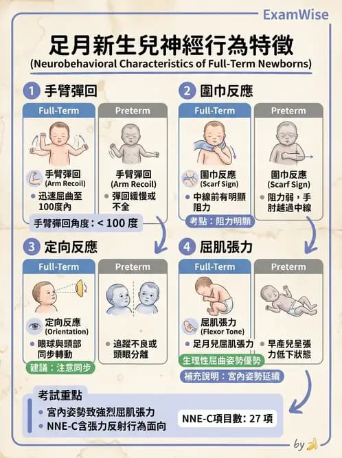 物治 - 新生兒與嬰兒發展評估 - AI 圖文解析預覽