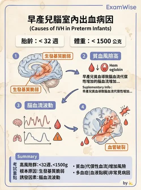 物治 - 新生兒與嬰兒發展評估 - AI 圖文解析預覽