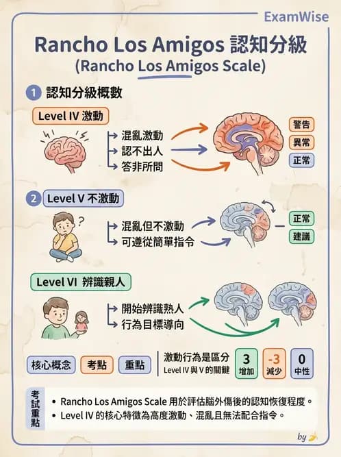物治 - 脊柱裂、神經肌肉疾病與腦傷 - AI 圖文解析預覽