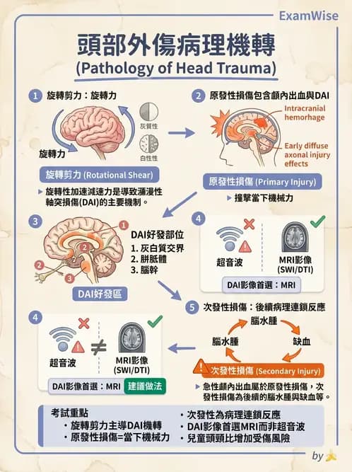 物治 - 脊柱裂、神經肌肉疾病與腦傷 - AI 圖文解析預覽