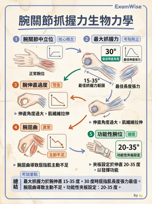 物治 - 腕關節生物力學 - AI 圖文解析預覽