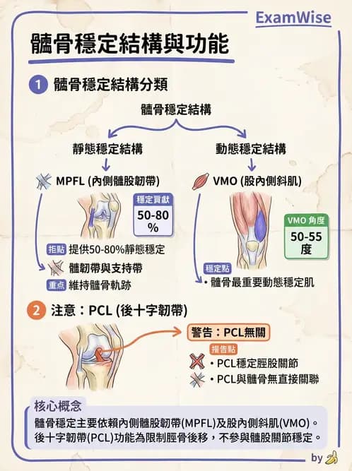 物治 - 膝關節肌動學與生物力學 - AI 圖文解析預覽