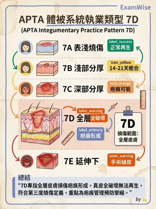 物治 - 歷史沿革與發展教育 - AI 圖文解析預覽
