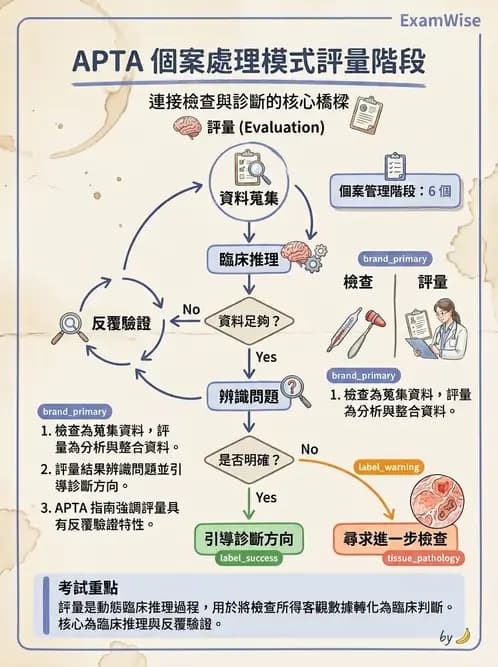 物治 - 專業組織與服務模式 - AI 圖文解析預覽