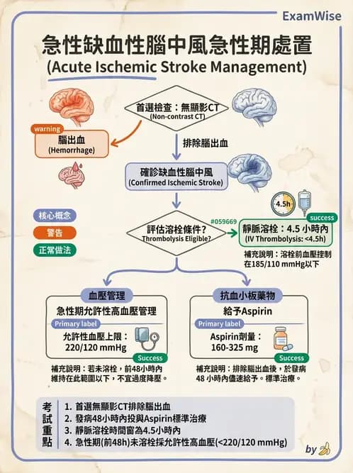 物治 - 腦血管疾病與腦外傷 - AI 圖文解析預覽
