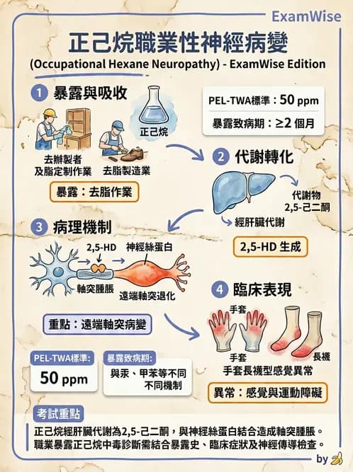 物治 - 環境與職業衛生 - AI 圖文解析預覽