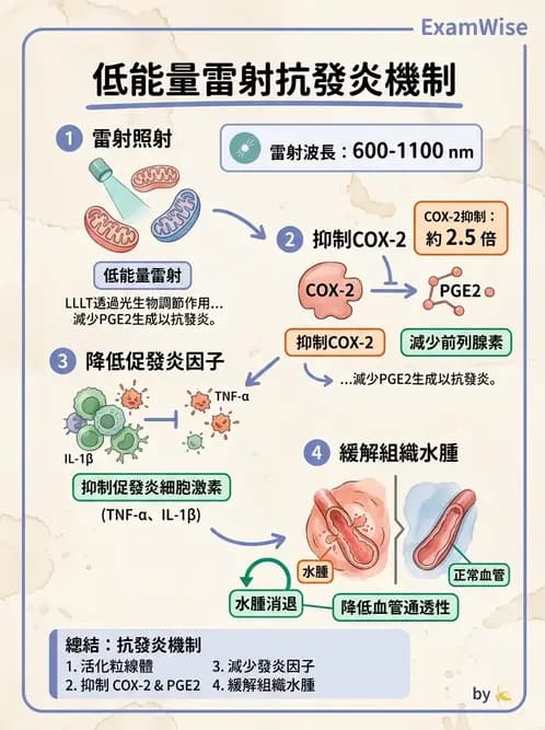 物治 - 低能量雷射 - AI 圖文解析預覽