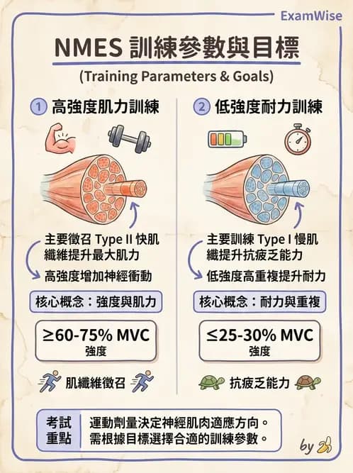 物治 - 神經肌肉電刺激 - AI 圖文解析預覽