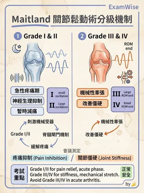 物治 - 鬆動術分級理論 - AI 圖文解析預覽