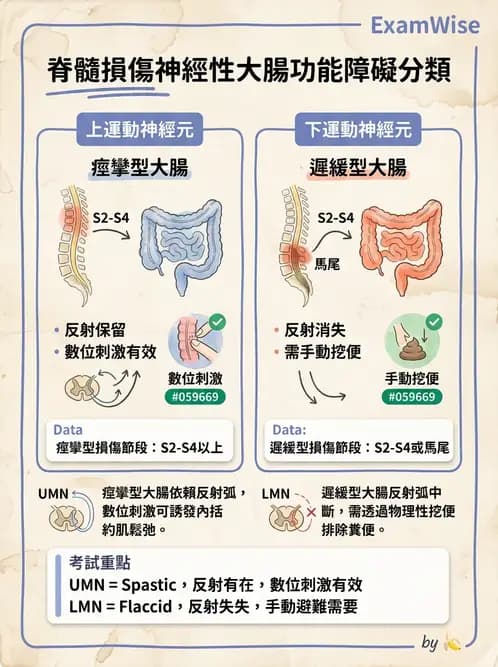 物治 - 功能評估與再教育 - AI 圖文解析預覽