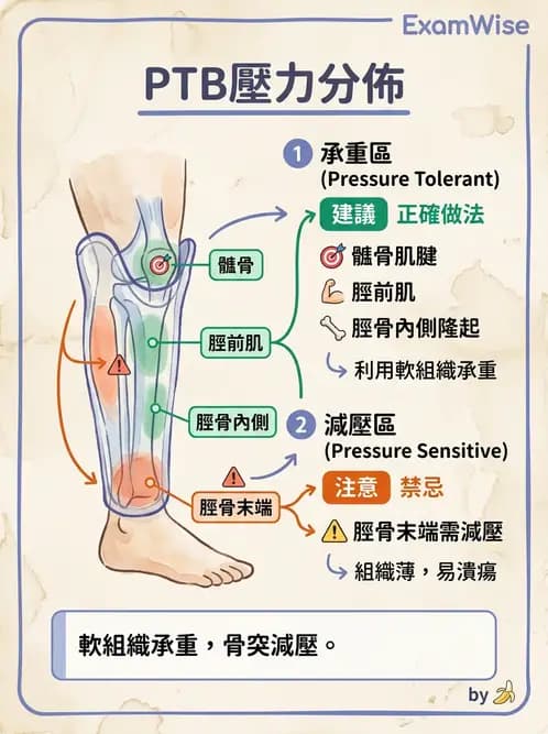 物治 - 義肢 - AI 圖文解析預覽