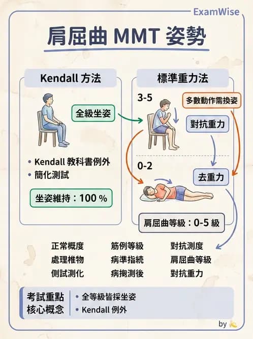 物治 - MMT通則、頭頸與軀幹 - AI 圖文解析預覽