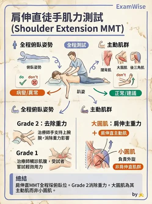物治 - 上肢徒手肌力測試 - AI 圖文解析預覽