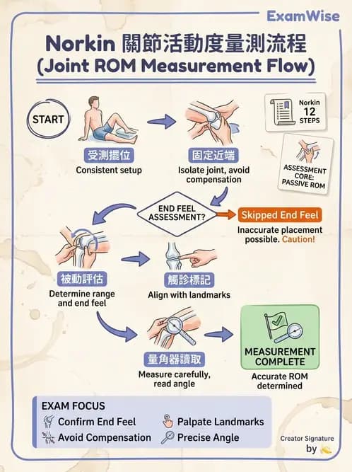 物治 - ROM通則與關節運動 - AI 圖文解析預覽