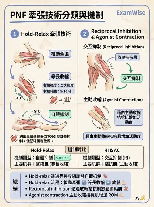 物治 - ROM通則與關節運動 - AI 圖文解析預覽