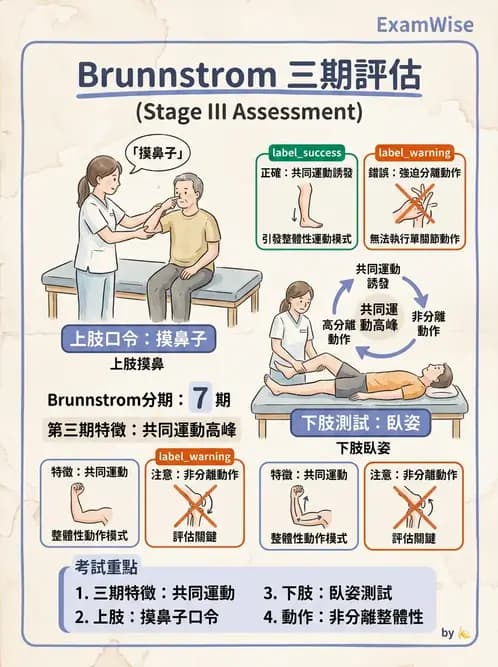 物治 - 腦中風動作評估與分期 - AI 圖文解析預覽