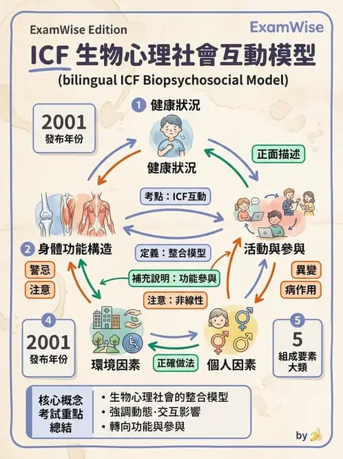 物治 - ICF分類與應用 - AI 圖文解析預覽