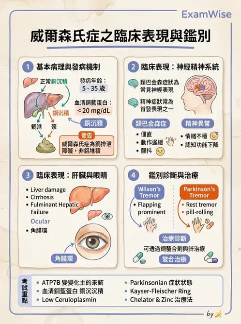 物治 - 運動神經元疾病與其他中樞疾病 - AI 圖文解析預覽