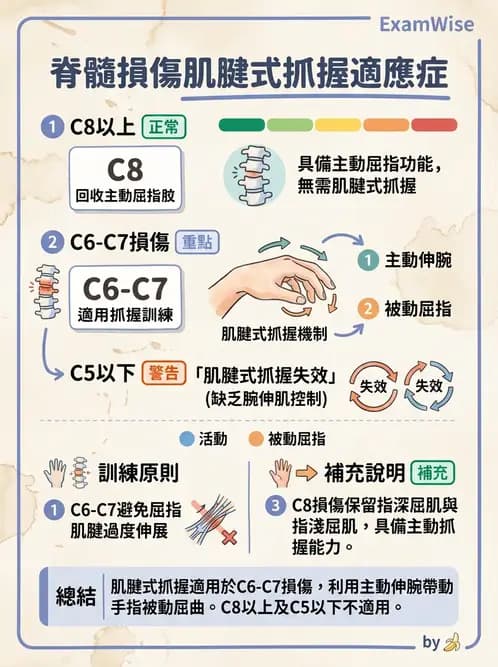 物治 - SCI功能預後與復健訓練 - AI 圖文解析預覽