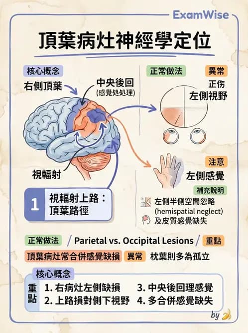 物治 - 運動神經元疾病與其他中樞疾病 - AI 圖文解析預覽