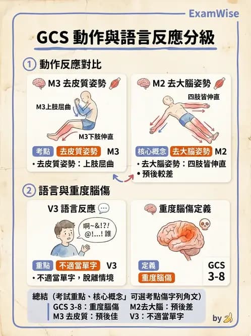 物治 - TBI病理評估與GCS - AI 圖文解析預覽