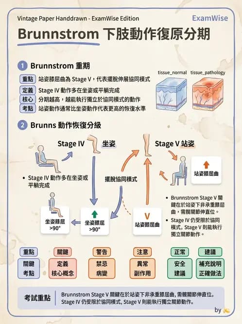 物治 - 腦中風動作評估與分期 - AI 圖文解析預覽