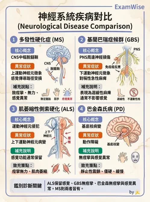物治 - 多發性硬化症物理治療 - AI 圖文解析預覽