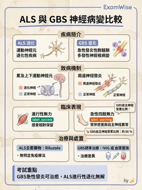 物治 - 運動神經元疾病與其他中樞疾病 - AI 圖文解析預覽