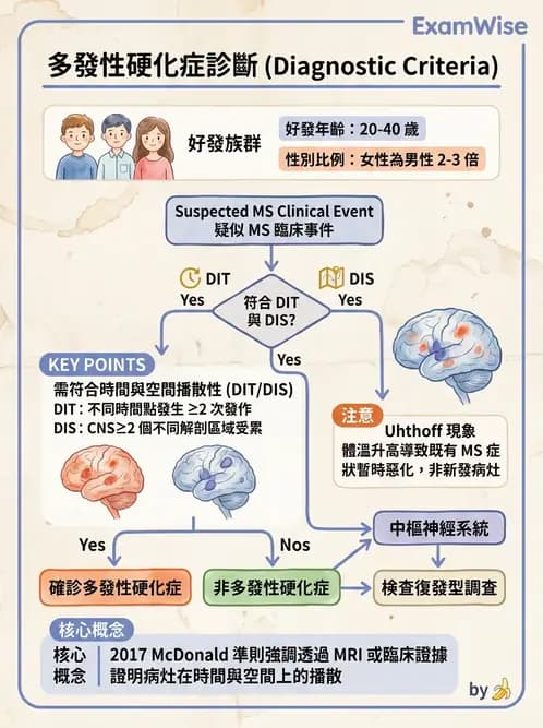 物治 - 多發性硬化症物理治療 - AI 圖文解析預覽
